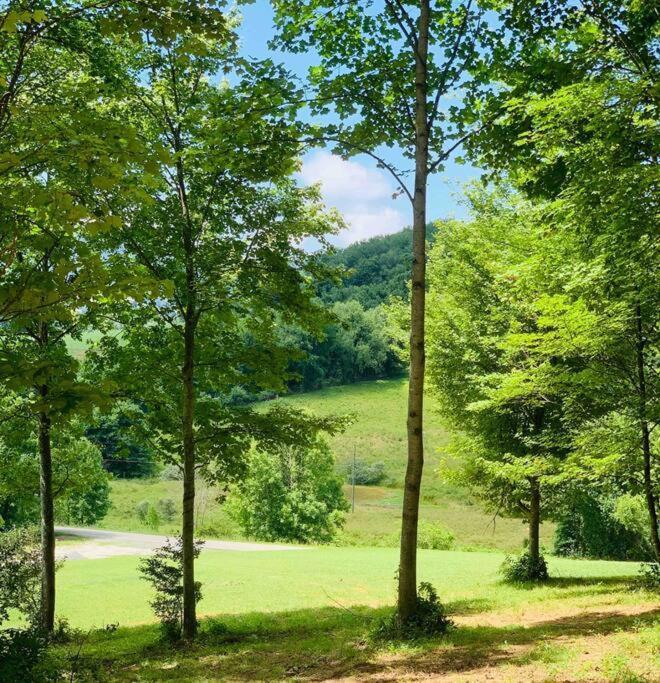 Villa Foxtail Orchards - The Fox Den Tazewell Exterior foto