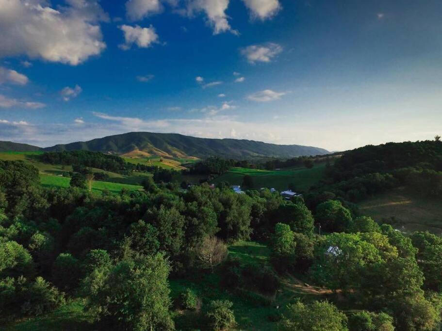 Villa Foxtail Orchards - The Fox Den Tazewell Exterior foto
